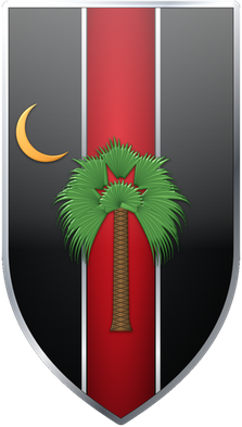 CFW shield